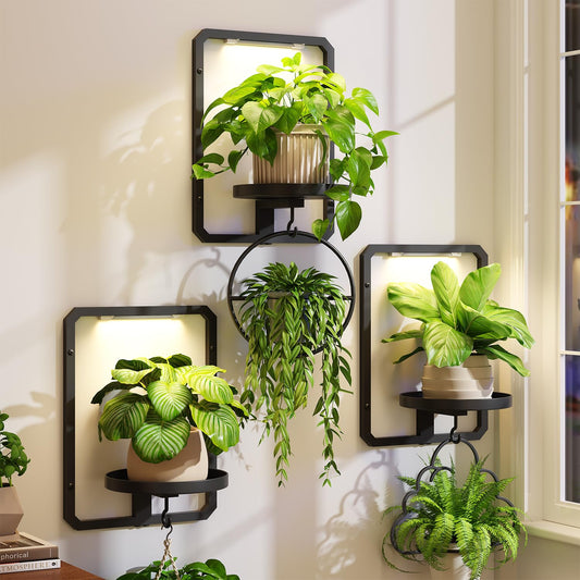 iDavosic.ly Wall Plant Picture Frame Holder Set of 3 with 3 Grow Light for Indoor, Metal Stand with Hanging Hooks, Space Saving Floating Flower Display Decor (Pots/Chains/Plants Not Included)