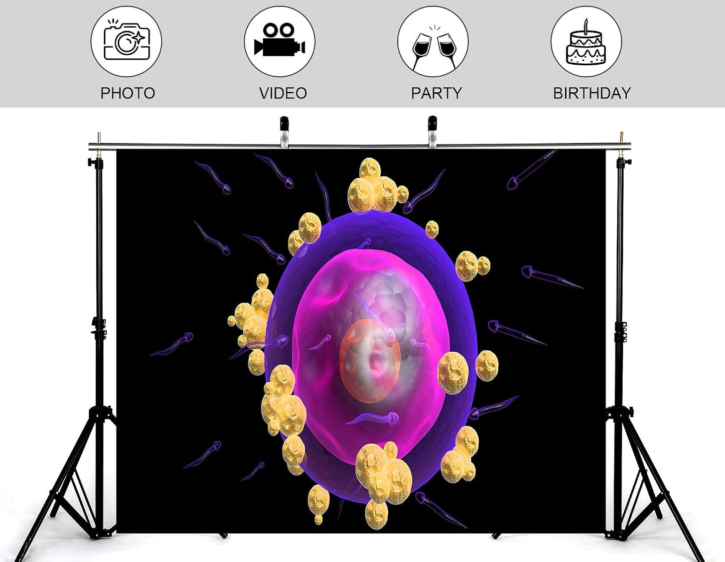 KeyWork 8x5ft Human Egg Cell Fertilization Backdrop Reproductive Science Photography Background for Health Fair