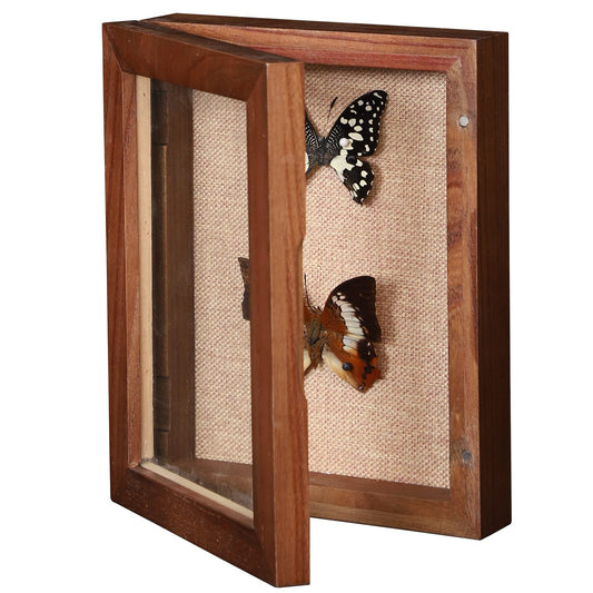 BECTSBEFF 5x7 Shadow Box with Glass, Small Shadow Boxes Display Cases with Door for Shells Taxidermy Keepsake Photos Tickets Coins - Walnut
