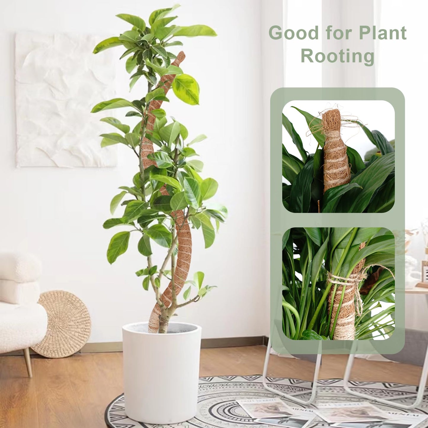 60 Inch Moss Pole, Bendable Moss Pole for Plants Monstera, Tall Moss Poles for Climbing Plants Indoor, Large Support, Garden Trellis Stick Stakes for Plants