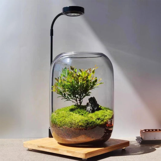 SARUFO Glass Plant Terrarium Kit, 6.3"X8.6" Micro-Landscape Vase with Light, Snowman and Pine Trees, for Home Office Tabletop Decoration, Wardian, Unique