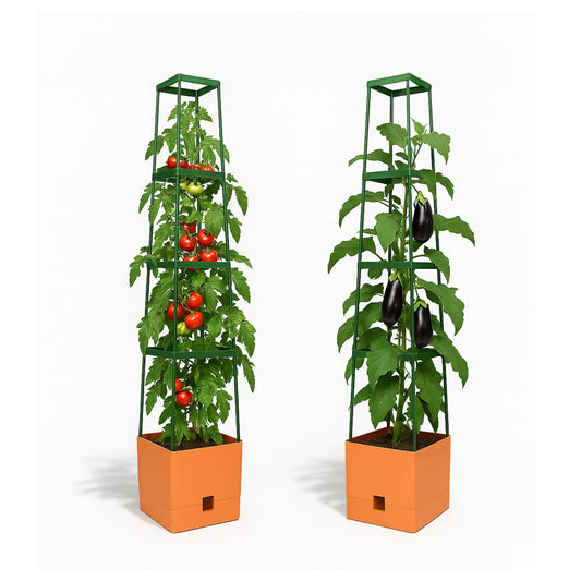 BioGreen 2 Pack Garden Tomato Planter MAXITOM, with Plant Support Trellis 59 inch and Self Watering, 4,2 Gal Planter Box for Climbing Vegetables Plants, Terracotta