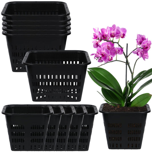 12 Pcs Black Orchid Pot Set - Breathable Slotted Plastic Plant Pot with Drainage Hole for Air Plants & Orchids (7.1 Inches, 5.5 Inches)