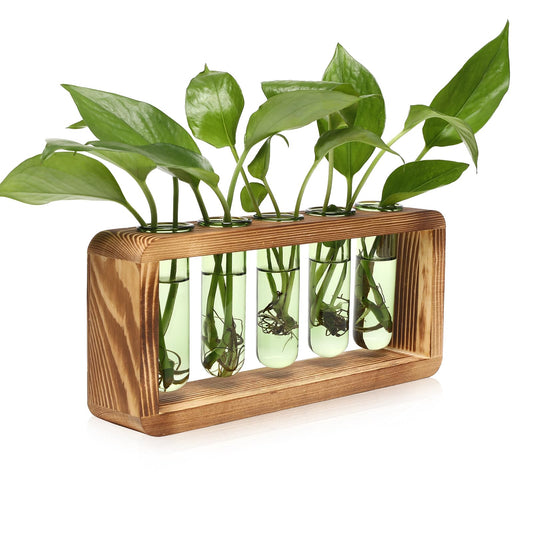 Glass Plant Propagation Station with 5 Test Tubes Colorful Planter Vase Birthday Gifts for Women in Wooden Stand