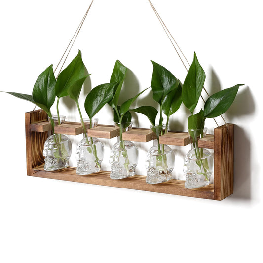 Plant Terrarium Propagation Stations Halloween Skull Planter Vase Skulls Decor with Wooden Stand Gife for Father - 5 Vases