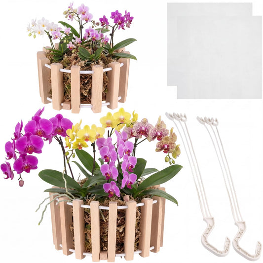 Yiyiring 2 Pcs Hanging Orchid Pots with Holes, Wooden Orchid Planter with Hangers, 8 & 10 Inch Rustic Specialist Pots for Vanda Oncidium Cattleya, Solid Beech Wood Slatted Basket