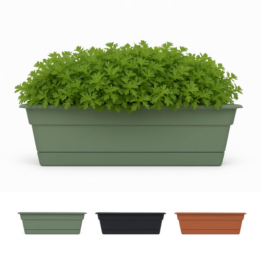 Bloem Dura Cotta 24" Plastic Window Box Planter with Saucer Tray: Indoor/Outdoor, for Windowsill, Ledge, & Tabletop, Basil