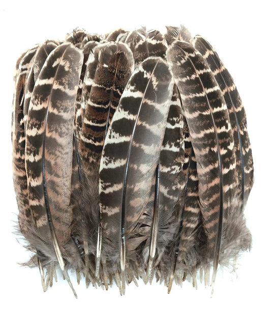 100pcs Natural Color Pheasant Feathers 5-7 Inches Spotted Wing Quill Feathers for Hats Crafts Clothing Mask Decorating Party Decorations Accessories