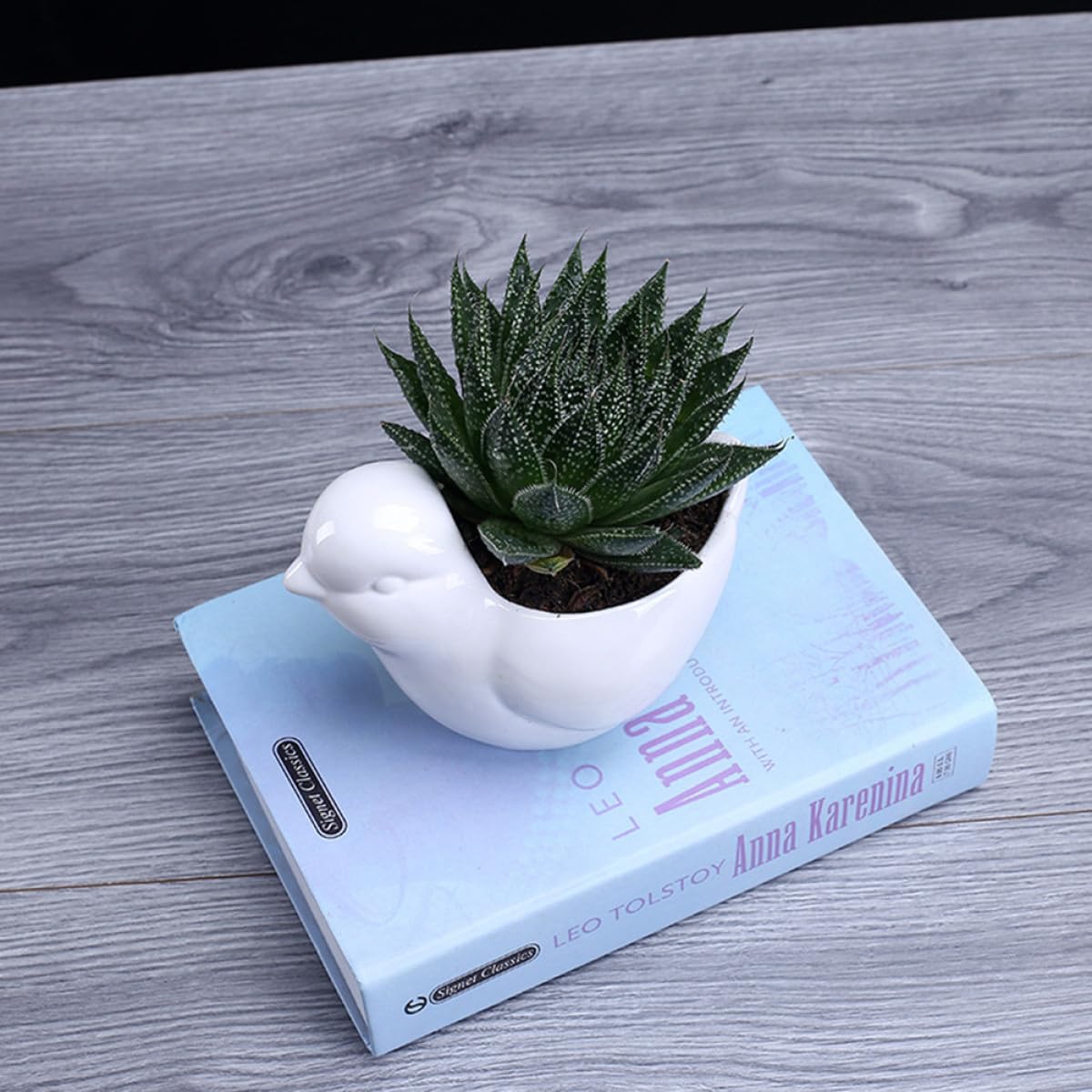 Holibanna Ceramic Succulent Plant Pot Bird Shape Saucer Small White Flower Pot Indoor Desktop Planter Decorative Container for Home Gardening