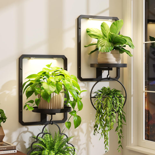iDavosic.ly Wall Plant Picture Frame Holder Set of 2 with 2 Grow Light for Indoor, Metal Stand with Hanging Hooks, Space Saving Floating Flower Display Decor (Pots/Chains/Plants Not Included)