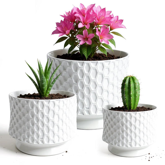 OXART 10/8/6 Ceramic Pots for Plants with Drainage, 3 Piece Large Plant Pot, Planters for Indoor Plants, Home Garden Flower Pot for Cacti, Pothos, Snakes, and Succulents, White