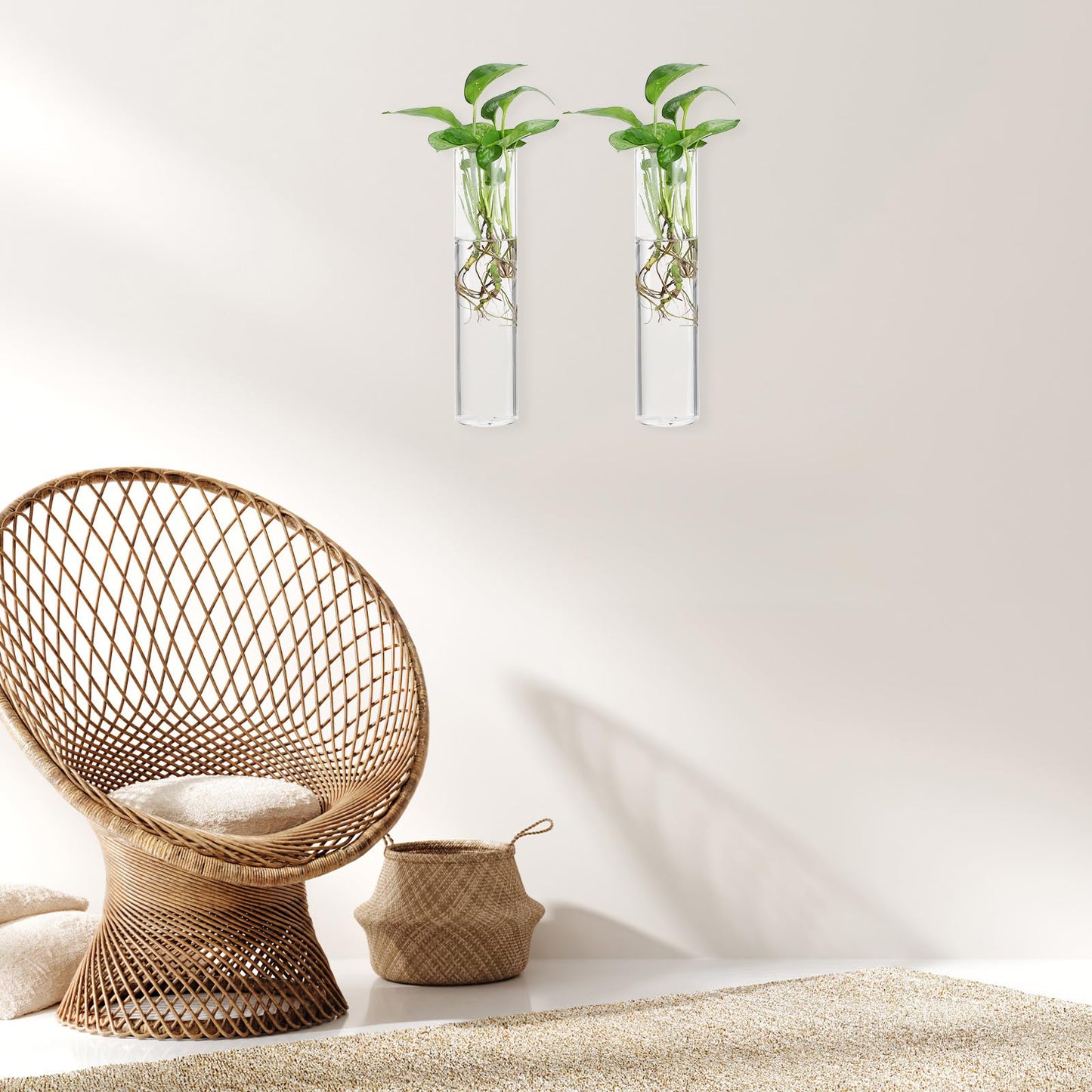 PRETYZOOM Wall Vase for Flowers Hanging Indoor Plants Holder Glass Cylinder Hydroponic Planter Large Tube 2pcs Wall-Mounted Terrarium for Home Décor