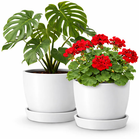 Kin 'n' Kind Set of 2 Minimalist Plant Pots (6.5" & 5.5") – Modern Indoor Planters with Drainage & Saucers & Plugs – Durable Eco-Conscious Composite, Indoor/Outdoor - Ventura Mist White