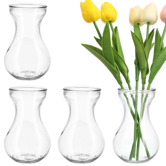 Angoily 4pcs Small Glass Hydroponic Flower Vases for Hyacinth Bulb Growing, Decorative Bud Vases for Home Office Centerpieces and Plant Terrariums