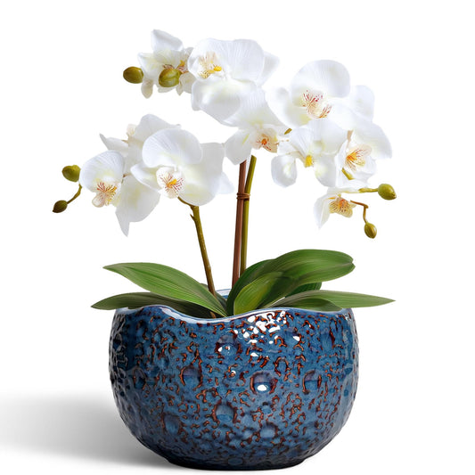 Thirtypot 6 Inch Plant Pot - Ceramic Pots for Plants with Drainage Hole, Round Orchid Pot, Unique Planter for Indoor Outdoor, Modern Decorative Flower Pots, Room Decor, Plant Lovers Gifts, Retro Blue