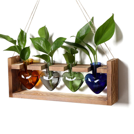 CYZglass Plant Propagation Stations Heart Plant Terrarium Kit Gift for Women Plant Lover Glass Vases