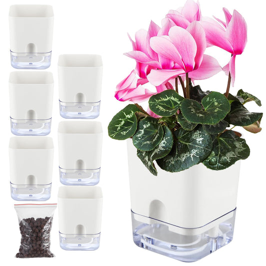 Planterhoma 6 Pack-5.5 Inch Self Watering Plant Pots for Indoor Plants, Square Self-Watering Planters Box Transparent for Devil's Ivy, Spider Plant, Orchid, African Violet
