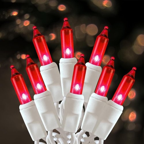 HISHINY Christmas Lights - 100 Count Red String Lights | UL Certified 21 Feet for Indoor & Outdoor Decor