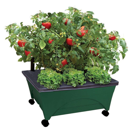 Emsco Group 2341-1HD City Picker Raised Bed Self Watering and Improved Aeration – Mobile Unit with Casters-Hunter Green Grow Box and Seed Starter