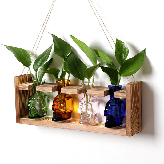 CYZglass Plant Propagation Stations Halloween Skull Plant Terrarium Kit Glass Vases Gift for Father Air Planter Home Office Decor