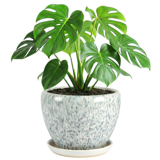 TOSELBAI 10.2 Inch Ceramic Planter with Saucer Leak-Proof Mesh &Drainage, Round Plant Pot with Gardening Gloves for Indoor Outdoor Plants (Blue Crackle Glaze)