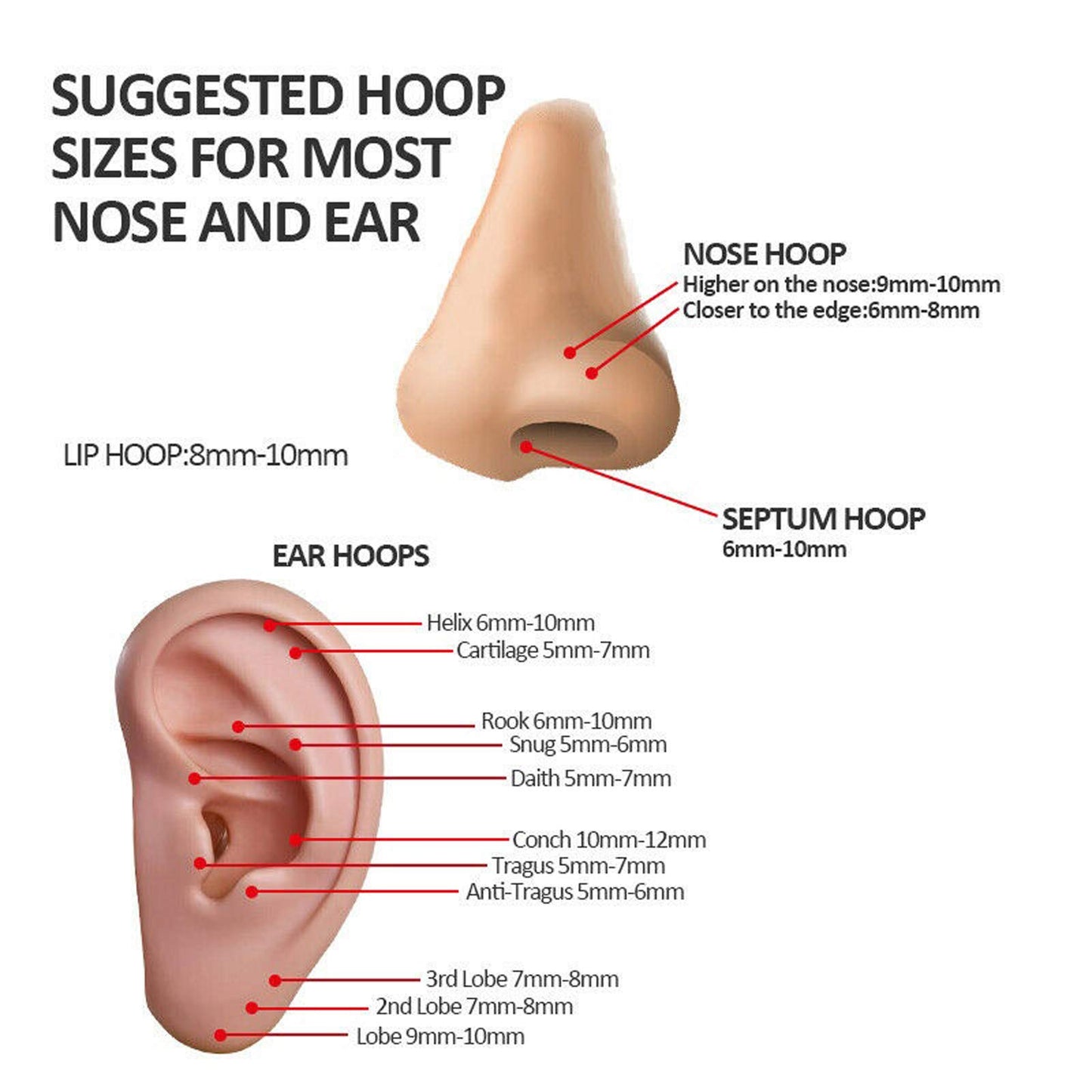 BOGKU 6pcs G23 Titanium Septum Rings Hinged Nose Ring Hoops for Women Men 16G Cartilage Hoop Earrings Body Piercing Jewelry Lip Rings - Diameter 6mm 8mm 10mm
