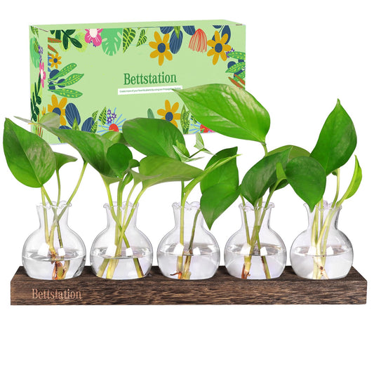 Bettstation Plant Propagation Station, Plants Terrarium with Wooden Stand 5 Bulb Houseplants Glass Vase for Hydroponic Plants Gift for Plant Lovers Home Office Decor