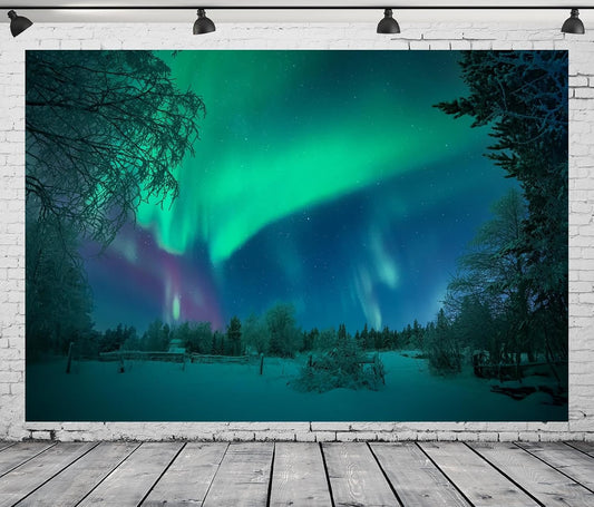 BELECO 10x8ft Fabric Aurora Borealis Backdrop Winter Forest Snowfield Northern Lights Night Sky Background Polar Lights
