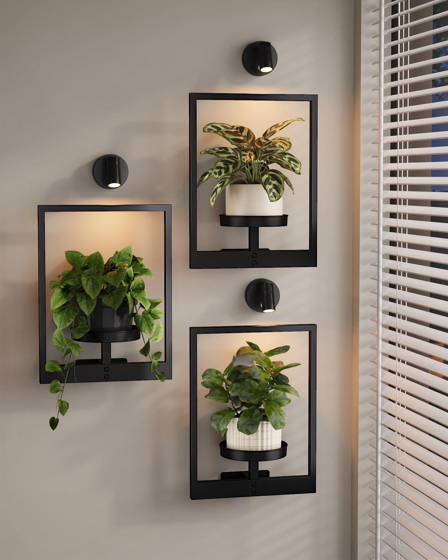 Bamworld Hanging Planters for Indoor Plants Wall Decor Living Room Plant Stand Indoor Wall Planters Plant Hanger Window Plant Shelves 3-Packs with Lights