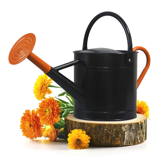 Plexon Metal Watering Can Outdoor 1 Gallon, Flower Plant Gardening Garden Large Watering Can Pot Pitcher, Steel Orange Handles and Removable Spray Spout, Black