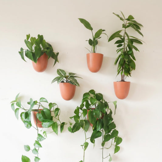 Make Good PlantPod Luxe - Self-Watering Wall Planters (Set of 6, Terracotta) - Easy to Water and Install - Lightweight - Design Your Own Vertical Garden - Wall Planters for Indoor Plants