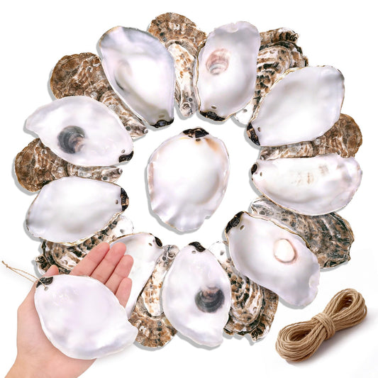 20Pcs Oyster Shells for Crafts,4"-5" Natural Large Flat Oyster Shells with Holes Drilled & Jute Rope for DIY Crafting, Sea Shells Ornaments Decoupage for Beach Home Decor Painting Chicken (20)