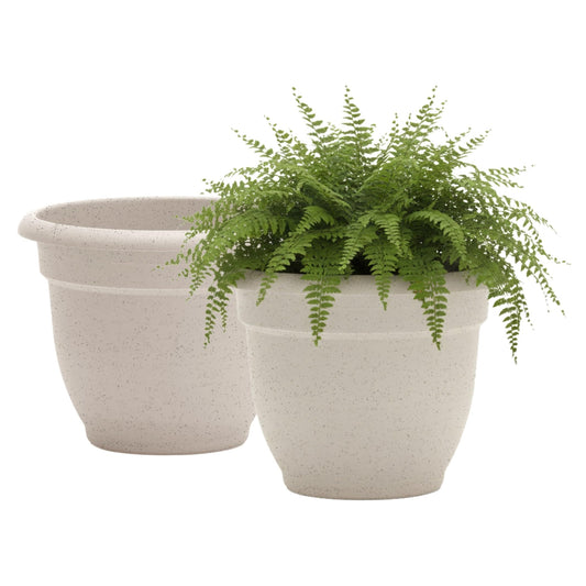 Bloem Ariana 12" Self-Watering Plastic Planter - Rolled Rim Indoor/Outdoor Garden Pot, Vanilla Bean, 2-Pack