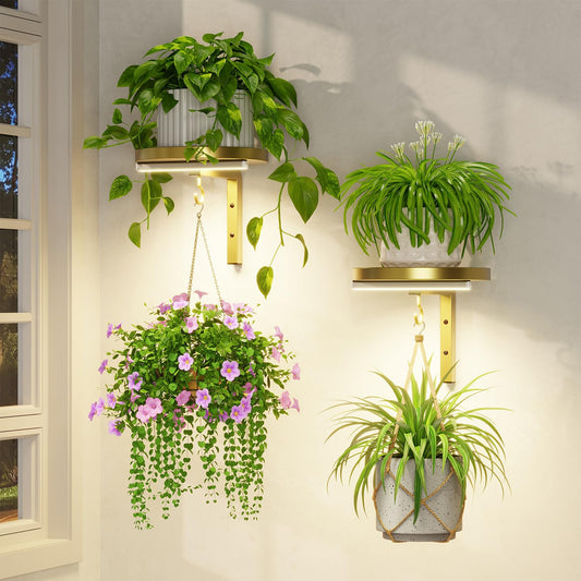 LASZOLA Plant Hangers Shelves Wall Mounted Indoor with Grow Lights, Metal Window Plant Holders, 2Pcs Modern Floating Flower Display Stand with 2 Hooks for Outdoor Kitchen Bathroom Decor, Gold