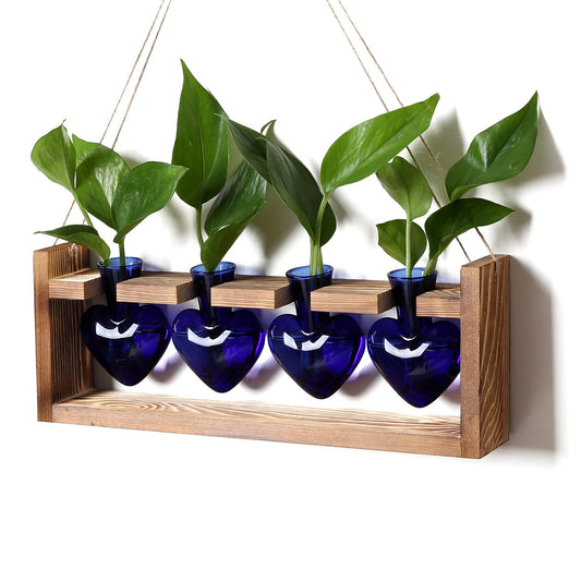 CYZglass Heart Plant Terrarium Kit Gift for Women Plant Lover Glass Vases