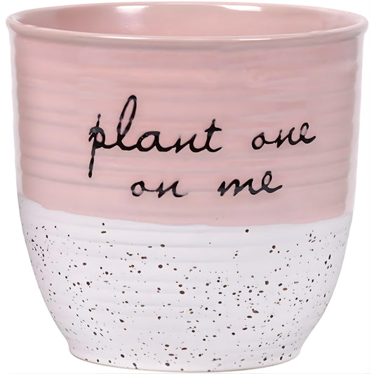 Blue Sky Clayworks Patricia 5" Flower Pot, Ceramic, 6" D x 5" H, Blush Script & Speckles