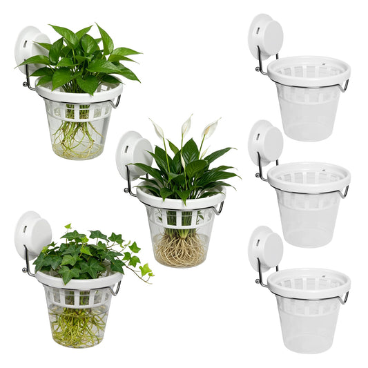 6 Pcs Window Propagation Stations Plastic Wall Hanging Planter with Suction Cup Holder Window Mounted Plant for Hydroponics Plants, Home, Office, Bathroom, Living Room Decor and Any Smooth Surface