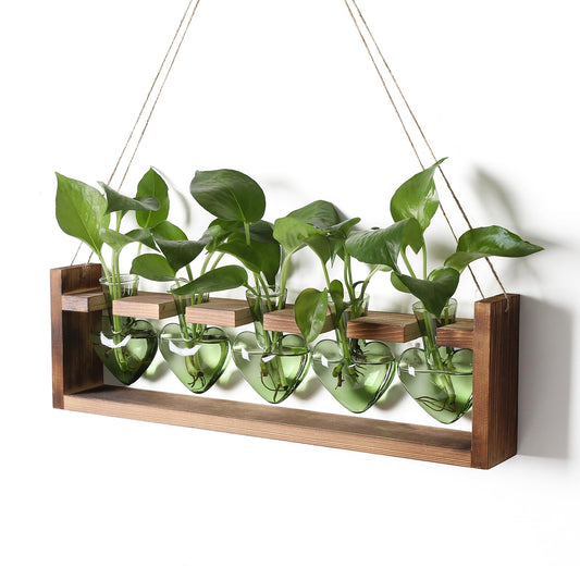 Plant Terrarium Hanging Propagation Stations Gift for Women Air Plants Holder with Wooden Stand Heart Glass