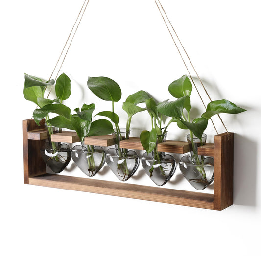 Plant Terrarium Hanging Propagation Stations Gift for Women Air Plants Holder with Wooden Stand Heart Glass