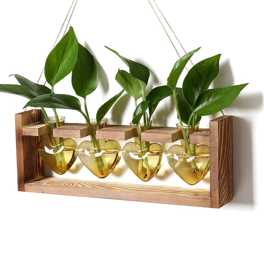 Plant Propagation Stations Heart Plant Terrarium Kit Gift for Women Plant Lover Glass Vases