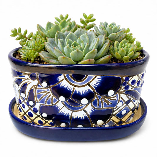 Casa Fiesta Designs Small Ceramic Pot - Flower Planter with Drainage for Cactus Bonsai Succulents Blue and White Ceramic Pot - Desk Size - Maceta Ceramica Maceta Azul Blanco