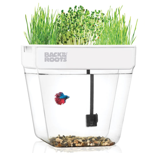 Back to the Roots Indoor Aquaponic Garden - 3 Gallon Self Watering, Mess-Free Planter and Self-Cleaning Fishtank for Herbs, Microgreens, Bamboo, Succulents, and Houseplants, support Fish