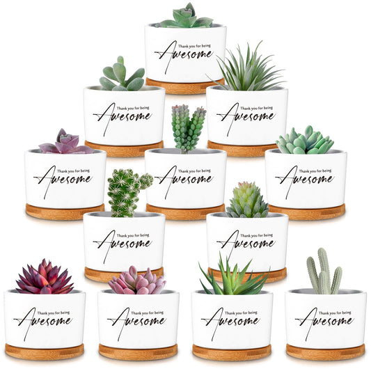 12 Pack Teacher Appreciation Gift Thank You Succulent Ceramic Mini Pots Nurse Week Gift with Bamboo Tray Succulent Planter for Employee Memorial Day Office Team Volunteer Desk Decor, Plants Excluded