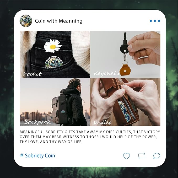 One Day At a Time 24 Year Sobriety Coin - Recovery Triangle Aurora Wolf AA Coins - Addiction NA AA Chips and Medallions - Celebrate 1-30 Living Clean Narcotics Alcoholics Anonymous Gifts for Men Women
