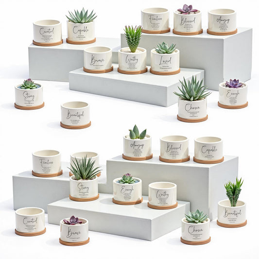 Fumete 24 Set 36 Set Father's Day Christian Religious Gift Bulk Bible Verse Succulent Pots with Tray Drainage, 12 Scripture Quote, 3x2 in Mini Ceramic Flower Planter for Home Church Gift (Affirmation)