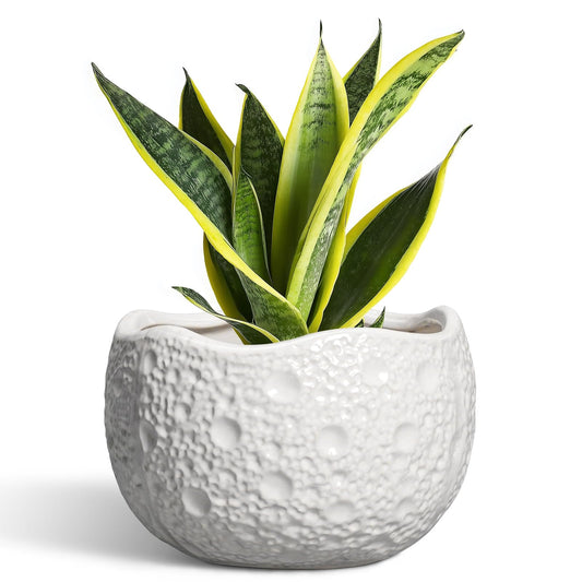 Thirtypot Ceramic Plant Pot - 8 Inch Round Planter with Drainage Hole, Decorative Plant Pots for Indoor Outdoor Plants, Modern Unique Flower Pots, House Living Room Decor, Housewarming Gifts, White