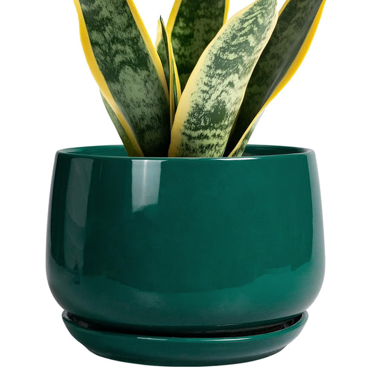 G EPGardening Ceramic Planter for Indoor Plants - 7 Inch Plant Pot, Round Planter with Drainage and Saucer, Round Flower Pots for Outdoor, Modern Desk Decor, Gift for Women Men, Green