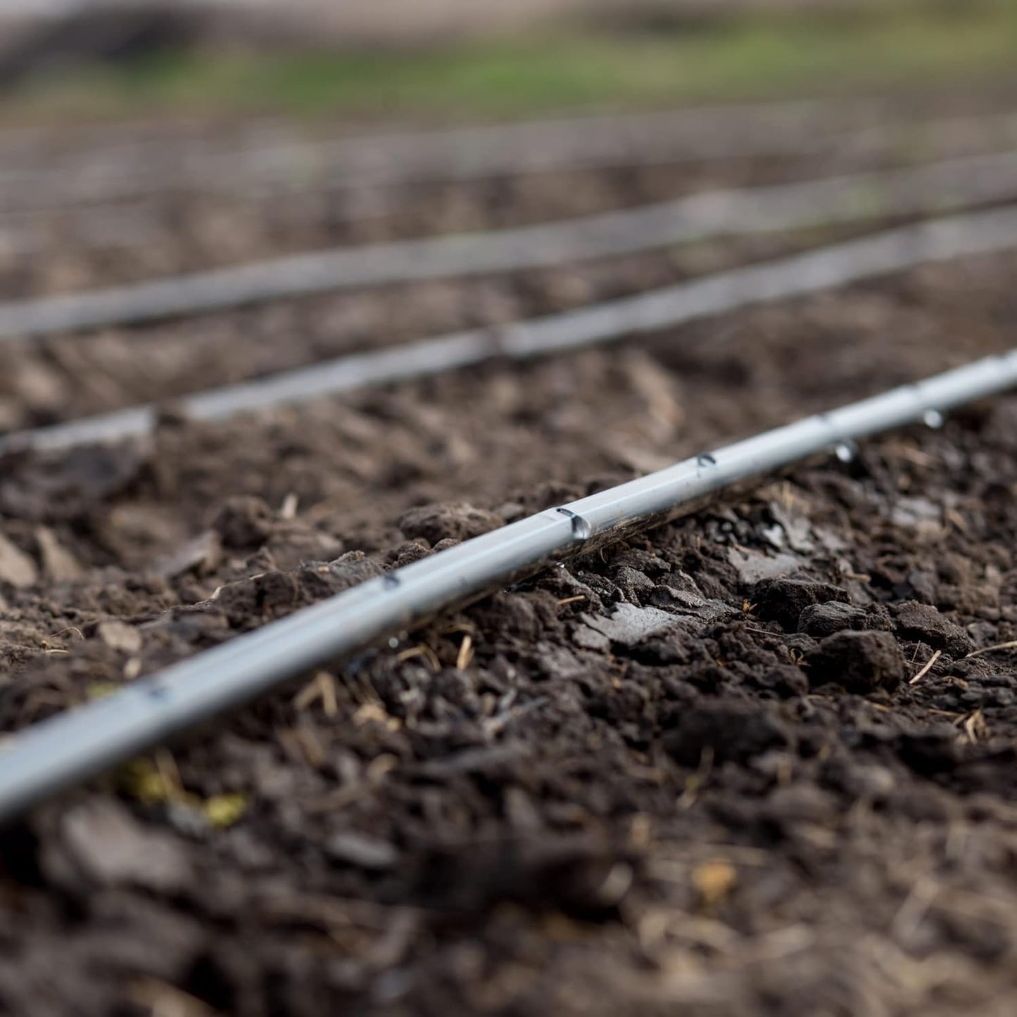 Drip Irrigation Line 1/4" Tubing Roll, 6" Emitter Spacing.52 GPH, Color Black (.170 ID x 240 OD) - Will Work from Gravity Feed (500' Foot Roll)