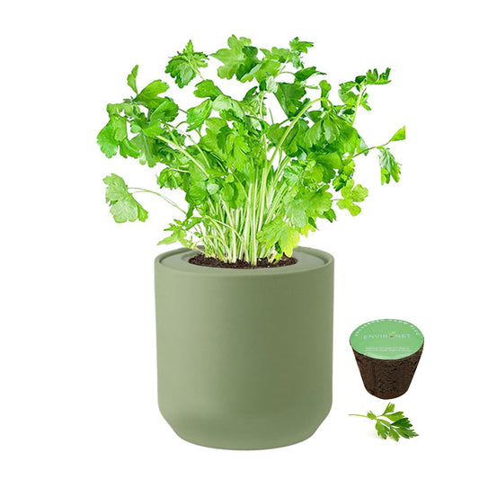 Environet Hydroponic Herb Growing Kit, Self-Watering Kitchen Herb Garden Starter Kit with Green Ceramic Pot and Seeds (Parsley)