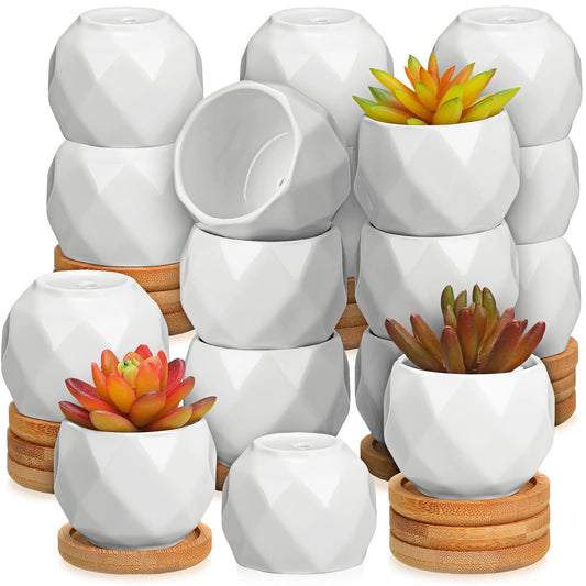 Gerrii 24 Pcs Succulent Pots Mini White Ceramic Flower Planter Pot Succulent Planters with Wooden Trays and Drainage Holes for Plants Cactus Home Office Decoration, Plants Not Included(Diamond)